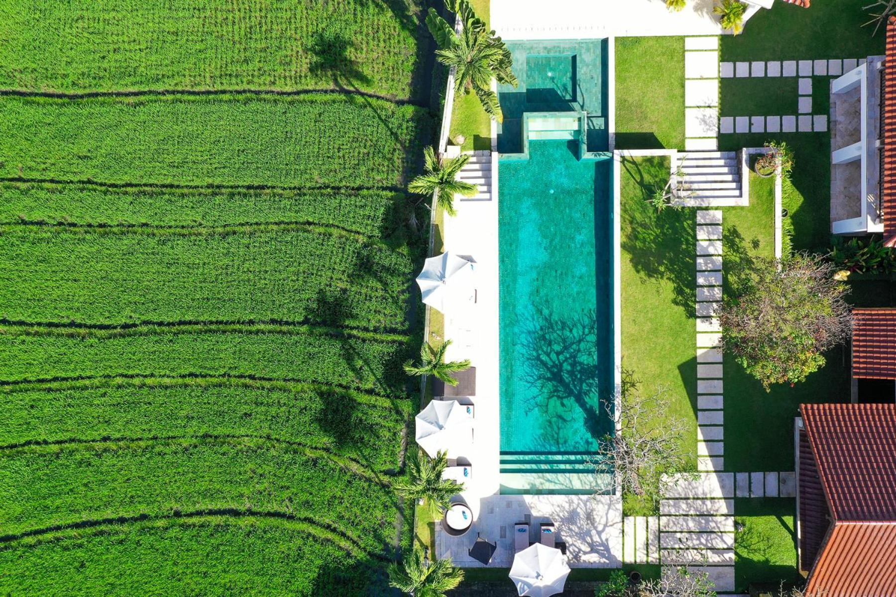 Villa Manis Canggu المظهر الخارجي الصورة