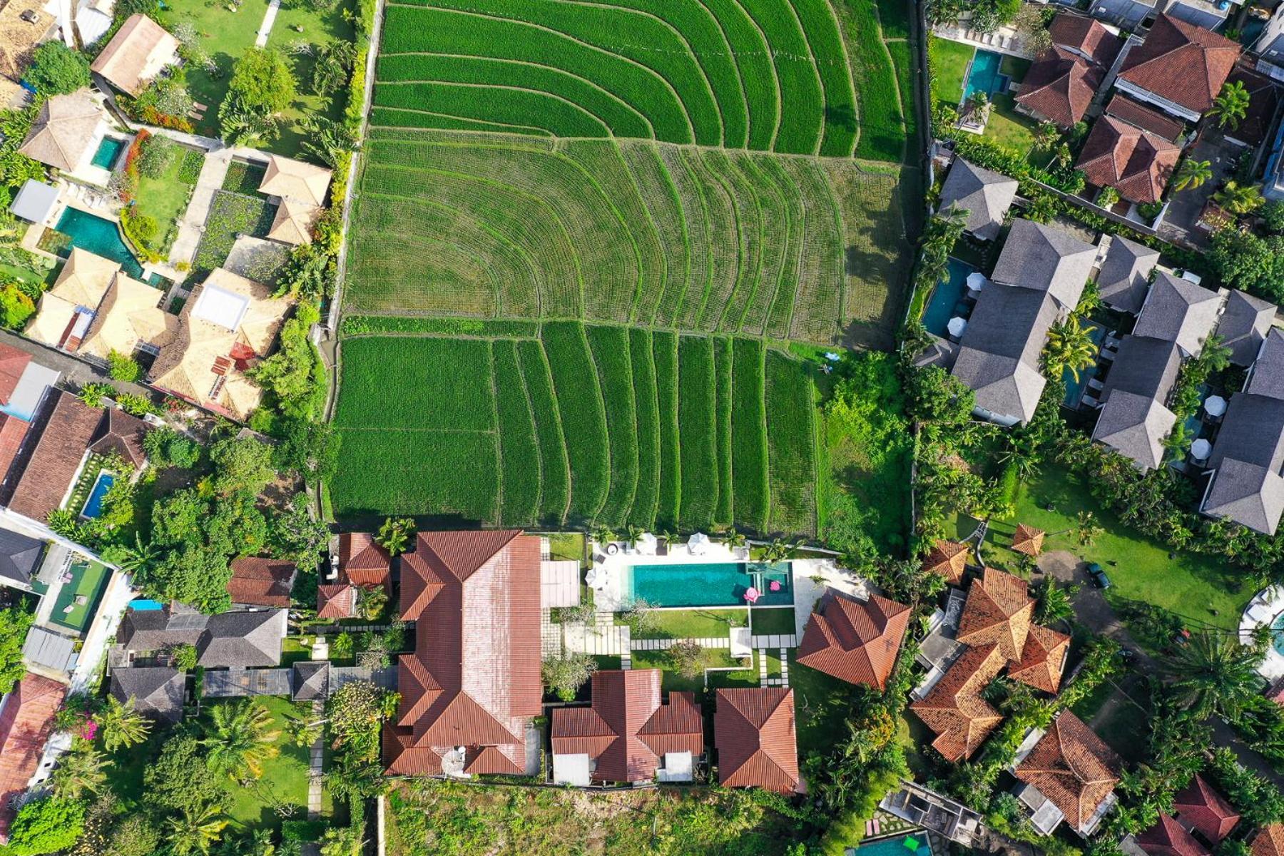 Villa Manis Canggu المظهر الخارجي الصورة